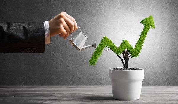 Purva Tranquillity Investment