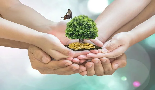 Eco-Friendly Living